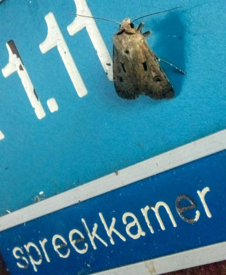 1173707269.jpg