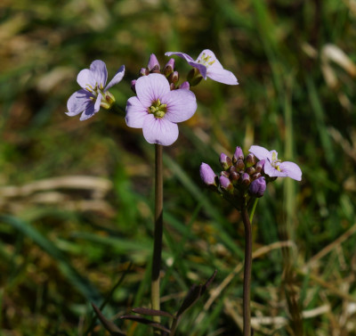 DSC03854.JPG