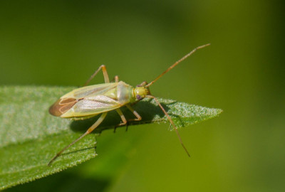 ADH_8868.jpg