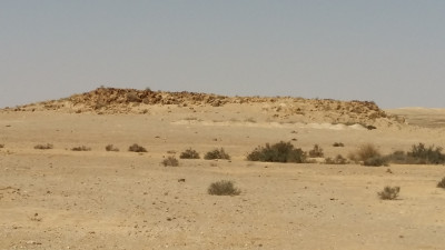 Sinaï-woestijn