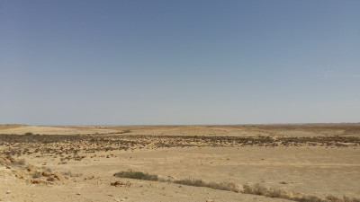 Woestijnweg Shur - Sinaï-woestijn
