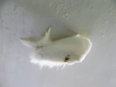 140426899_1.jpg