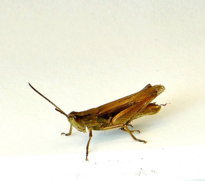 20230720_142904.jpg