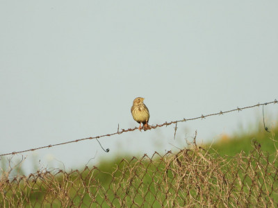 DSCN1580.JPG