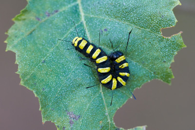 2020091087.jpg