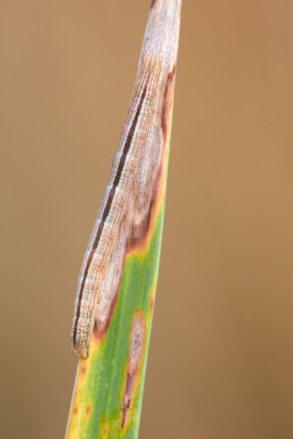 2020090852.jpg