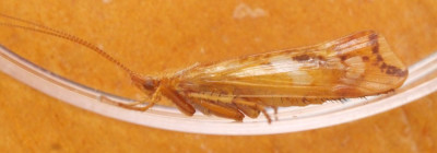 P1019479kopie.JPG