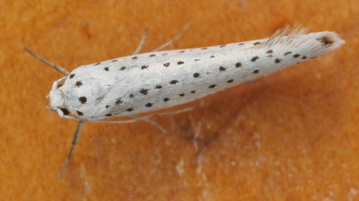 P1019662kopie.JPG