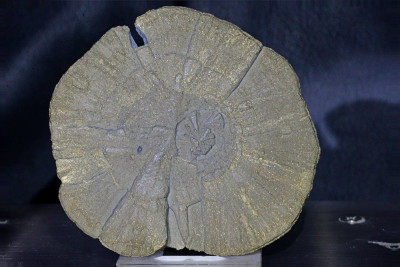 Pyrietzon