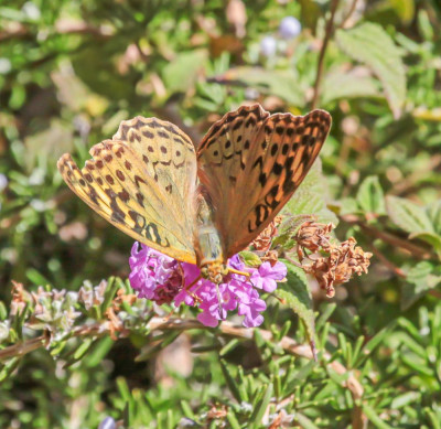 20120920_573.jpg