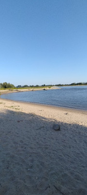 IMG20240828181014.jpg
