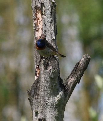 Canon EOS 70D 1039x1218_203112.jpg