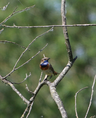 Canon EOS 70D 1065x1305_203121.jpg