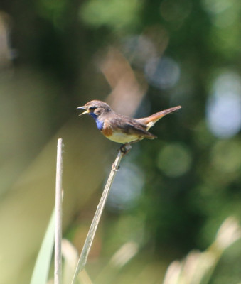 Canon EOS 70D 1273x1501_203122.jpg