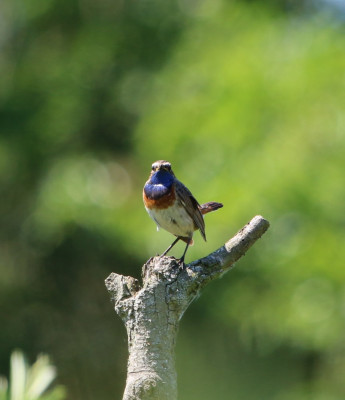 Canon EOS 70D 1569x1821_203129.jpg