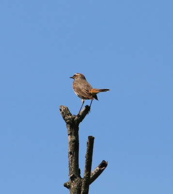 Canon EOS 70D 1505x1685_203136.jpg