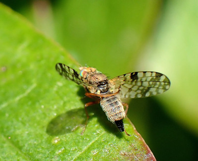 P9281513.JPG