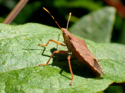 PA041921.JPG