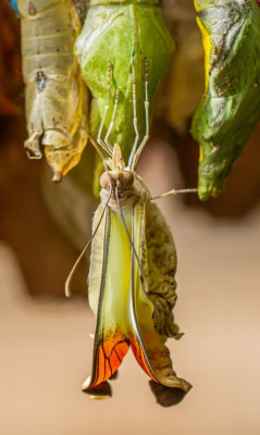 ALB_9491.jpg