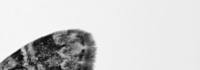 Screenshot_20241118_144419_Gallery.jpg