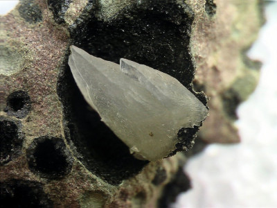 Calciet