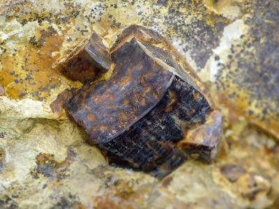 Pyriet