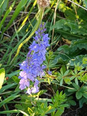 IMG20250510195407.jpg