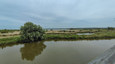 IMG_20250531_124353103_HDR.jpg