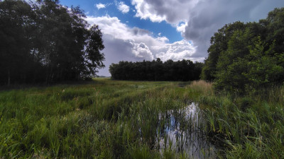 IMG_20250523_112646915_HDR.jpg