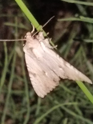 IMG20250609231247.jpg