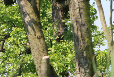 1 Canon EOS 70D 5472x3648_313621 (2).jpg