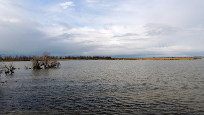 OVP - Uitzicht vanuit de Schollevaar