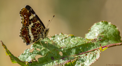 Landkaartje     Heerlerbaan     juli 2020