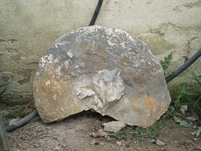 2008.Wettringen - Bertammonite - Upload.jpg