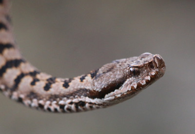 Canon EOS 70D 3145x2163_361340.jpg