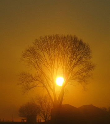 Net na zonsopkomst