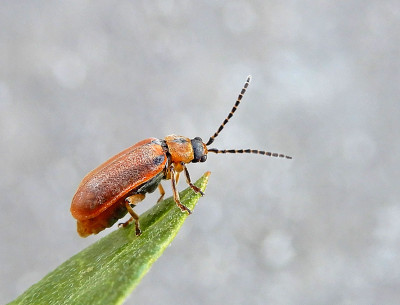 DSCN9462.JPG