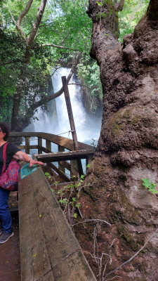 Waterval in de rivier.