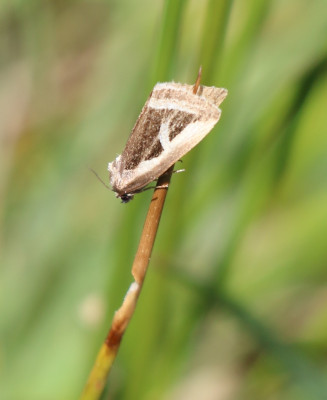 Canon EOS 70D 1245x1525_201642.jpg