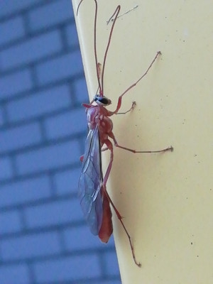 IMG_20221031_165824.jpg
